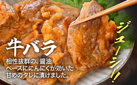 牛肉 豚肉 鶏肉 味付け肉 牛豚鶏 味付け 焼肉 セット 1.2kg 牛バラ 豚バラ ヤンニョムチキン モモ