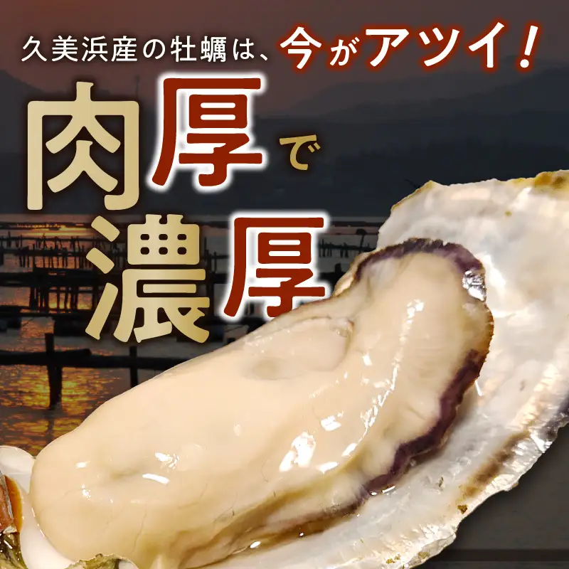 牡蠣 殻付き約20個 牡蠣