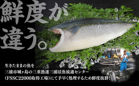 活〆 新鮮 ぶり フィレ 1枚（ 半身 ） M079-010-01 魚 冷凍