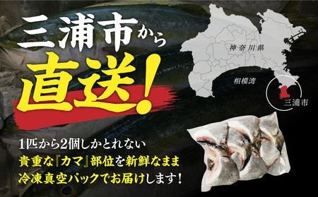 新鮮カンパチ カマ干物 約2kg M079-012-04 冷凍 加工品