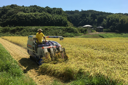 【令和7年産】南房総市産コシヒカリ玄米10kg mi0018-0014 玄米 ｺｼﾋｶﾘ こしひかり おにぎり こだわり