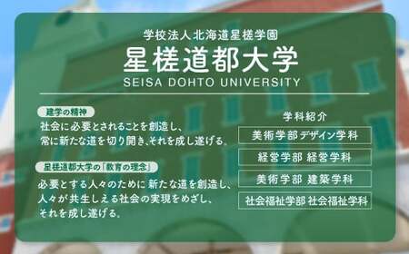 【お礼の品なし】北広島市私立養育機関支援 （学校法人北海道星槎学園 星槎道都大学）【寄付金額500,000円】