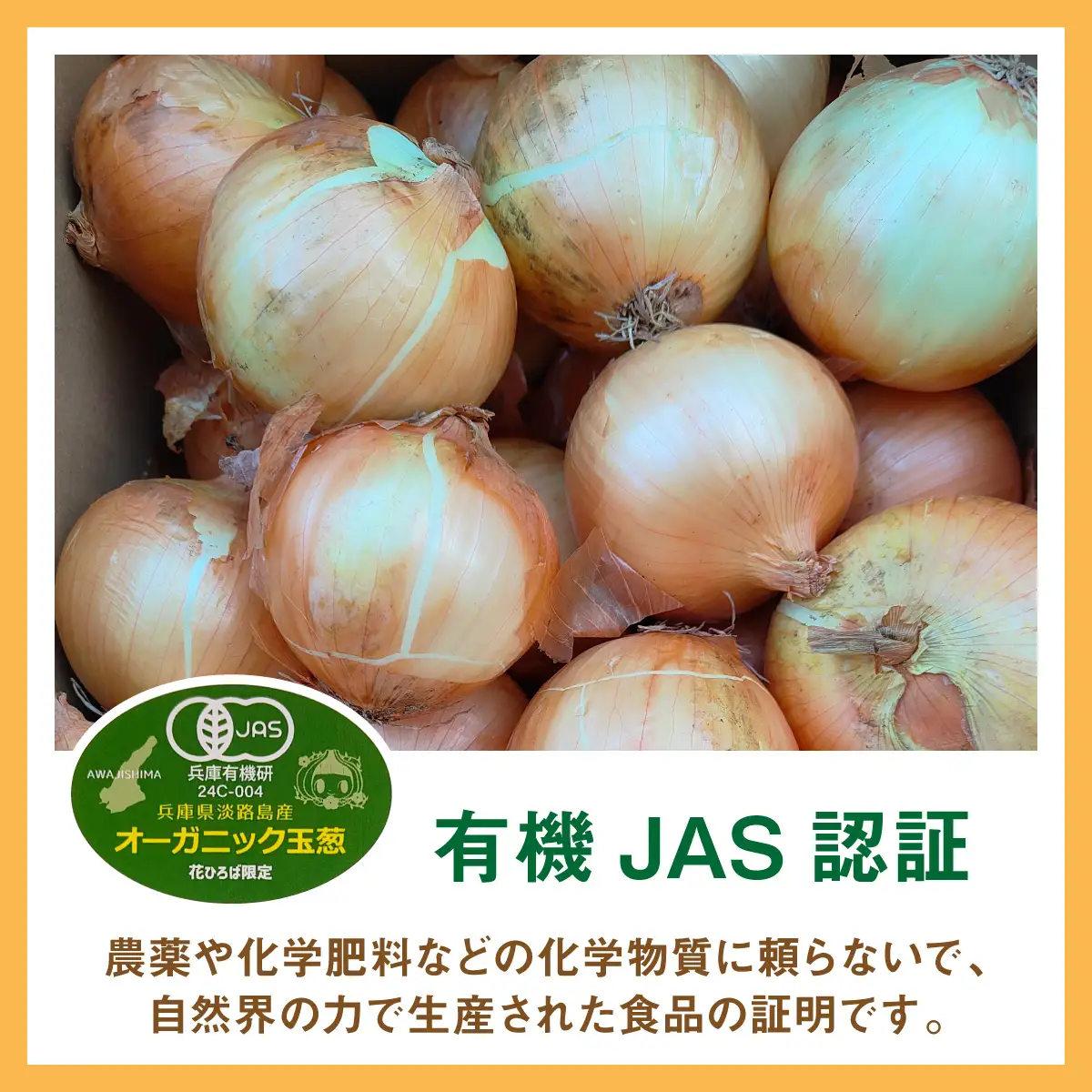 淡路島産有機栽培玉葱5kg JAS認定オーガニックたまねぎ  / たまねぎ