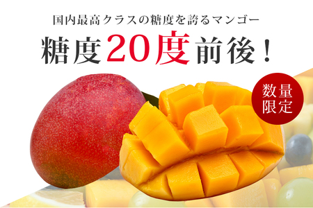【数量限定・季節限定】 『グッド！モーニング』で紹介 おみたんマンゴー 約550g 数量限定 期間限定 先行予約 完熟 マンゴー 国産フルーツ 果物 くだもの 【7月20日～8月末まで順次発送予定】 19-I