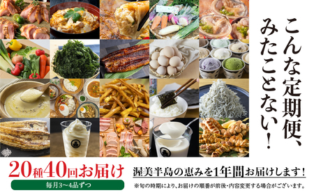 【定期便】渥美半島の恵み 20種 40回 12 カ月 1年定期便 