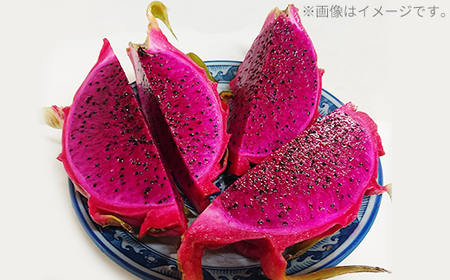 【2026年発送】熱帯果樹生産組合の完熟ドラゴンフルーツ 【レッドドラゴンフルーツ】　約2kg(3～7玉)- 赤 果肉 レッド ピタヤ スーパーフルーツ 先行受付 先行予約 人気 抗酸化作用 ベタシアニン おすすめ 国産 沖縄県 八重瀬町