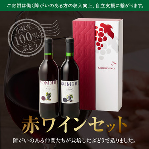 小牧ワイナリ―　赤ワイン２本飲み比べセット（小牧産ぶどう100％使用）[026A08] ワイン 軽口ワイン 葡萄 ぶどう ブドウ ヤマ・ソービニオン ブラック・クイーン 国産ワイン 酒 飲料 アルコール ギフト 贈り物 贈答 小牧産ぶどう100%ワイン 飲み比べ ワインセット 