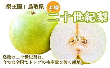【先行予約】【数量限定】「ス梨・果ラット ダイヤ」 二十世紀梨 新甘泉 セット（5kg）【倉吉産】令和8年産 梨 果物 フルーツ 和梨 二十世紀梨 新甘泉