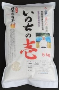 《先行予約》令和7年産 米 いのちの壱 5kg / 米 白米 5kg
