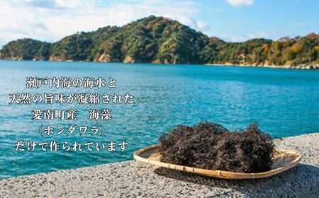 海人の藻塩 布袋入り（300g）6000円 塩 しお 藻塩 も塩 旨味 まろやか 海藻 ホンダワラ ミネラル 天ぷら 野菜 肉 焼肉 焼き肉 魚 焼魚 豆腐 家庭用 贈答用 贈答 下味  愛南町 愛媛県 朋和商事株式会社 蒲刈物産株式会社