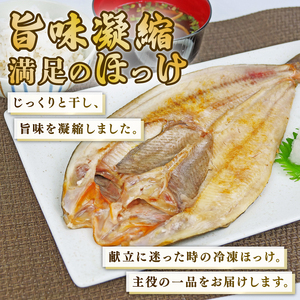 ほっけ 干物 6枚セット 真ほっけ 開き干し ひもの