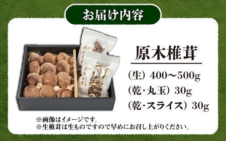 原木椎茸 生･乾燥 詰め合わせセット 椎茸 しいたけ [BNAU001]