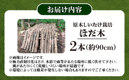 原木しいたけ栽培 ほだ木 2本 | 合同会社カルシ [BNAU004]