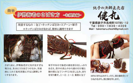 【 伊勢海老 】 活き〆冷凍伊勢海老 3kg