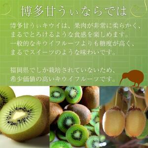 【2026年11月上旬より順次発送】博多甘うぃキウイ(あまうぃ)20玉〜27玉入り 3.6kg相当 うまうまもぐもぐ
