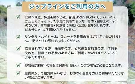 ジップライン ハヤブサ 大人1名 | 栃木県 宇都宮市 大谷石 カネホン採石場 チケット 観光 旅行 ツアー ※離島への配送不可