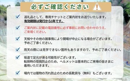 大谷石露天掘り採石場見学ツアー＆大谷石ピザ窯で焼くPizza焼き体験 大人2名 | 栃木県 宇都宮市 大谷石 カネホン採石場 チケット 観光 旅行 ツアー ※離島への配送不可