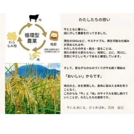 【精米】令和7年産 ひとめぼれ 精米 10kg 白米 DZ002