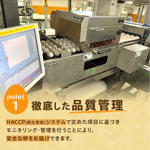 卵 40個 こだわり赤卵 新鮮たまごの大平原ファーム 北海道清水町 _S035-0014