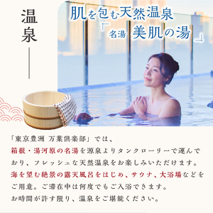 東京豊洲 万葉倶楽部　日帰り入館券2枚 【kt003-001-2】 温泉