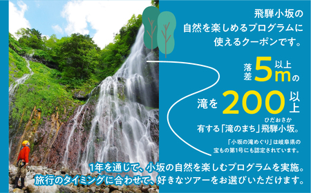 【216WORKS】体験電子チケット 3,000円分 （ニジイロワークス）電子クーポン 体験 サウナ アウトドア シャワクラ 滝めぐり ハイキング カフェトレッキング サイクリング 釣り 御岳山 登山 氷瀑 飛騨 小坂 下呂市【97-1】