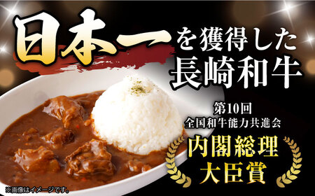 【6回定期便】【肉のプロが贈る 究極のカレー】長崎和牛 A5 カレー 約240g×4袋 / カレーライス かれー レトルト 牛 和牛 / 諫早市 / 野中精肉店 [AHCW099]