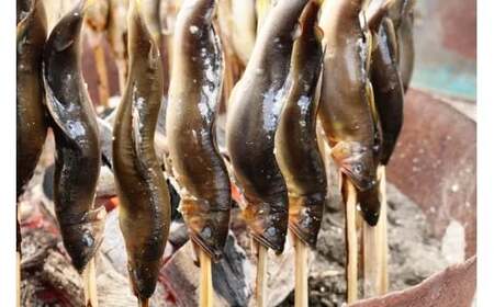 四万十川上流の天然鮎 新もの冷凍 火振り漁鮎 2kg ( 冷凍 6～22尾 ) 鮎 あゆ アユ 川魚 高知県 四万十 天然 冷凍