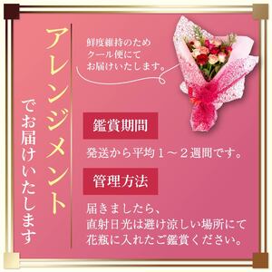 バラ フラワーアレンジメント 15本 赤 ピンク 系 ローズ ギフト用 フラワー 花 ブーケ 薔薇 新鮮 ばら 高品質 綺麗 おもてなし ご褒美 花束 フラワーアレンジメント 草花 誕生日 記念日 母の日 父の日 敬老の日 クリスマス プロポーズ 結婚祝い 結婚式 ギフト プレゼント お祝い 贈り物 贈答 インテリア おしゃれ かわいい 雑貨 飾り 鑑賞 旬 植物 春夏秋冬 季節 自宅用