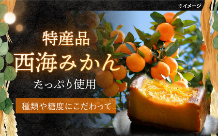 西海みかん チーズケーキ 6個 CEM007 ケーキ