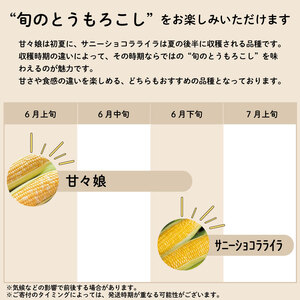 【 2026年発送 とうもろこし 】 甘々娘 4kg ｜ とうもろこし