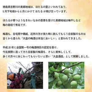 【ごちそうアワード2025 飲料部門 銀賞】 梅酒 治三郎 720ml 超辛口 うめしゅ 【梅酒】