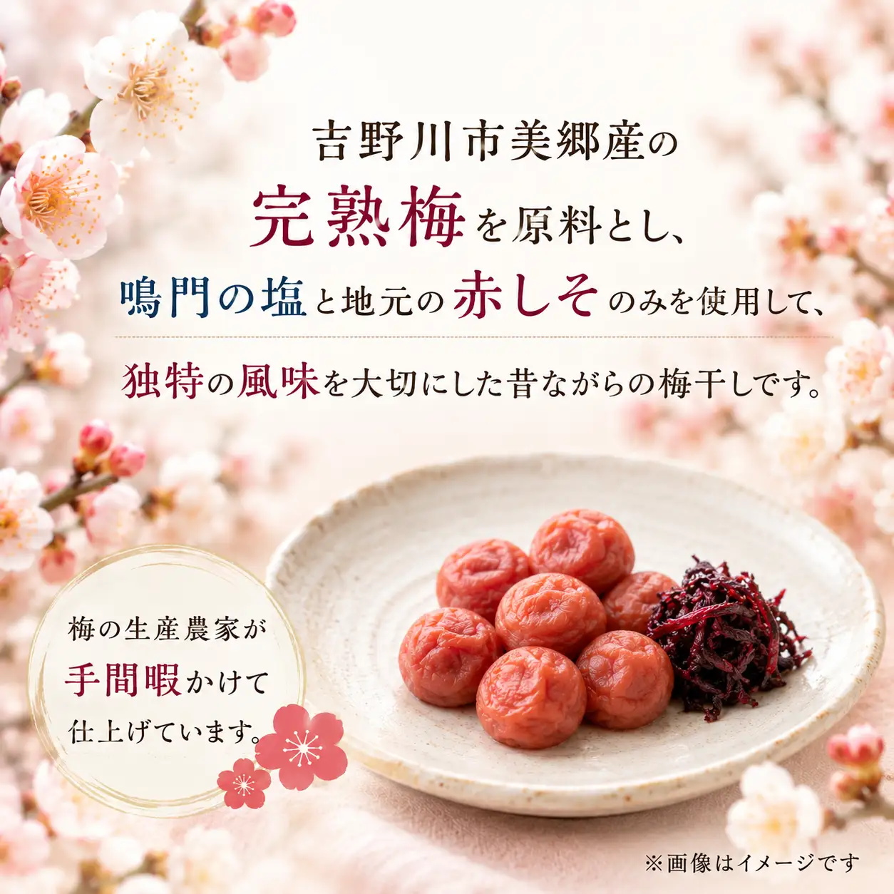 先行予約 美郷の小梅干1kg 2025年 11月 ～ 発送予定