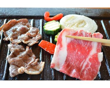 【えりも短角牛】焼肉セット【er007-004】 えりも 短角牛 カルビ 200g ヘルシー ウデ 200g ソーセージ 4本 150g 希少 品種 赤身 ヘルシー 国産 北海道産 焼き肉 やきにく 肉 バーベキュー BBQ パーティー 人気 産地直送 お取り寄せグルメ 冷凍配送