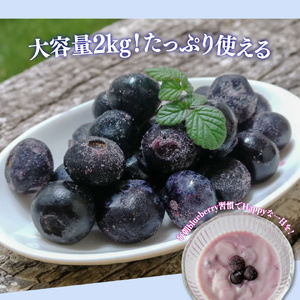 【ふるさと納税】＜ブルーベリー(冷凍) 2kg＞高知県 佐川町 果物 フルーツ 国産 【冷凍】冷凍ブルーベリー ＜4～6ヶ月程度で発送＞