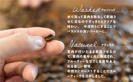 「Kaung day」ミャンマースペシャルティコーヒー豆 2種セット（ウォッシュド・中深煎り　/　ナチュラル・中煎り（各100g））（豆）コーヒー 珈琲 コーヒー豆 カウンデー【98-1】スペシャルティ