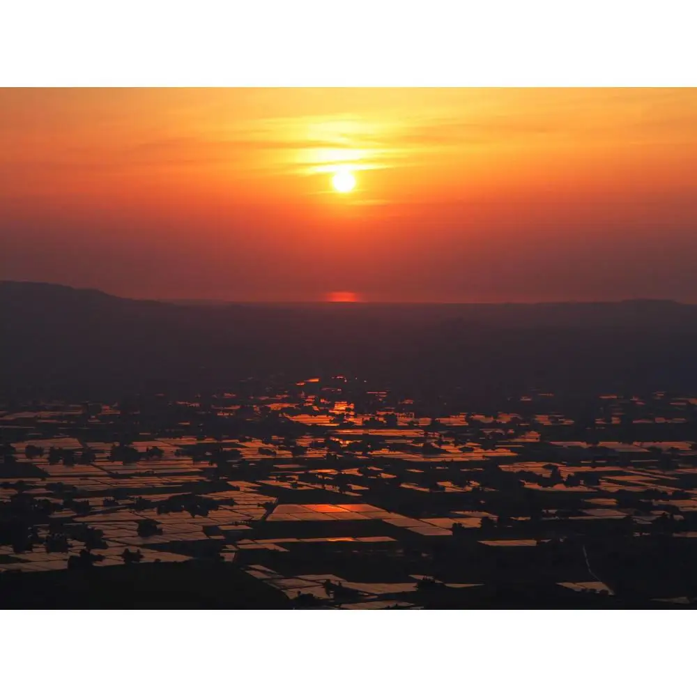 グッドデザイン賞受賞　網戸張替シート【散居村の夕日】
