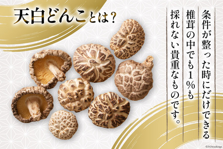 宮崎県産 乾椎茸 ギフト 天白 どんこ 「K-100」 290g 肉厚 [岡田商店 宮崎県 美郷町 31ac0037]