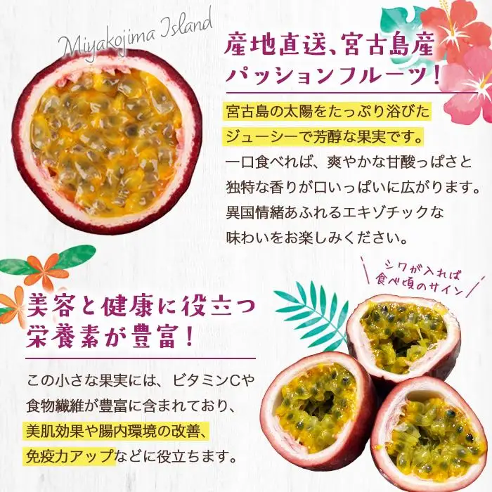 エキゾチックな味わい！宮古島産パッションフルーツ（3kg）(JJ010)