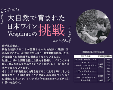 Vespinae（ベスピナエ）  2023 岩手ソーヴィニヨンブラン 750ml×1本　【1970】
