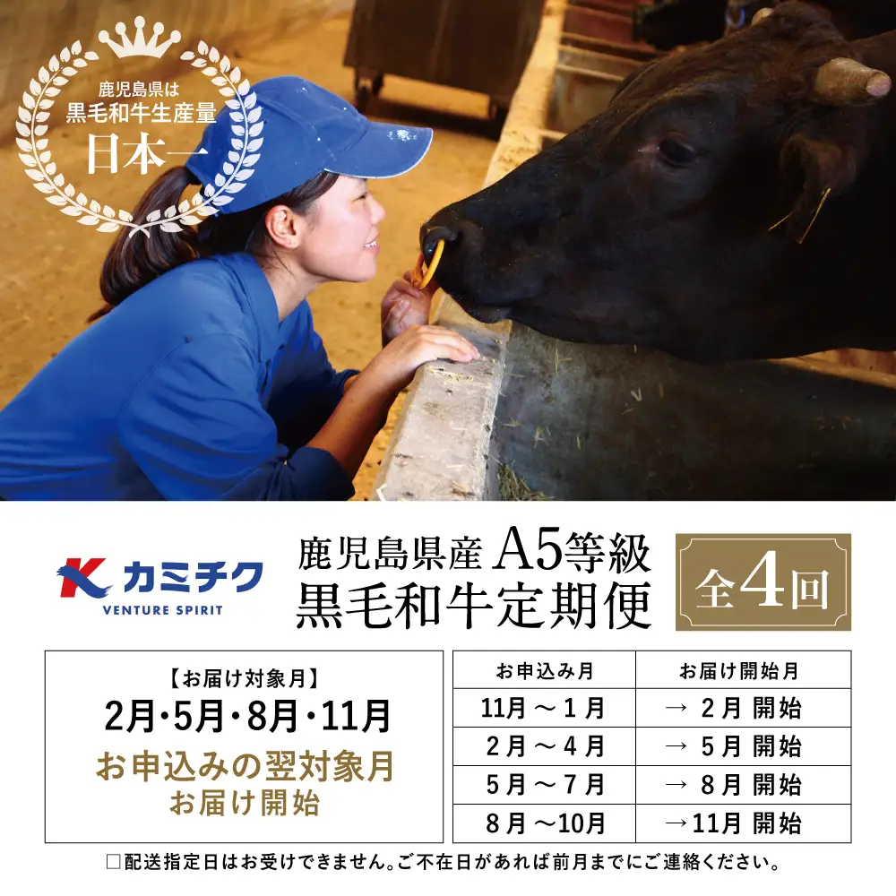 【特撰定期便 全4回】A5等級鹿児島黒毛和牛定期便 A5 A5等級 ステーキ サーロイン 赤身 ヒレ バラ 焼肉 BBQ ブロック肉 ロース肉 すき焼き しゃぶしゃぶ お肉 鹿児島県産 カミチク 黒毛和牛 牛肉 定期便 定期コース 冷凍