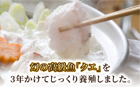 五島列島産 クエ鍋セット4人前[RAE004] クエ くえ 鍋 希少 アラ 鮮魚 クエ鍋 クエ くえ 鍋 希少 アラ 鮮魚 クエ鍋 クエ くえ 鍋 希少 アラ 鮮魚 クエ鍋九州 長崎 