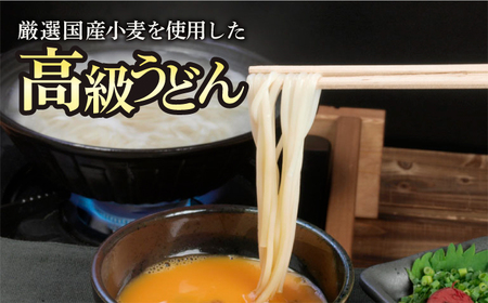五島うどん しま乙女 240g×5袋 スープ×10袋 / 五島うどん[RAM034] うどん 五島うどん 麺 うどん 五島うどん 麺 うどん 五島うどん 麺 うどん 五島うどん 麺九州 長崎