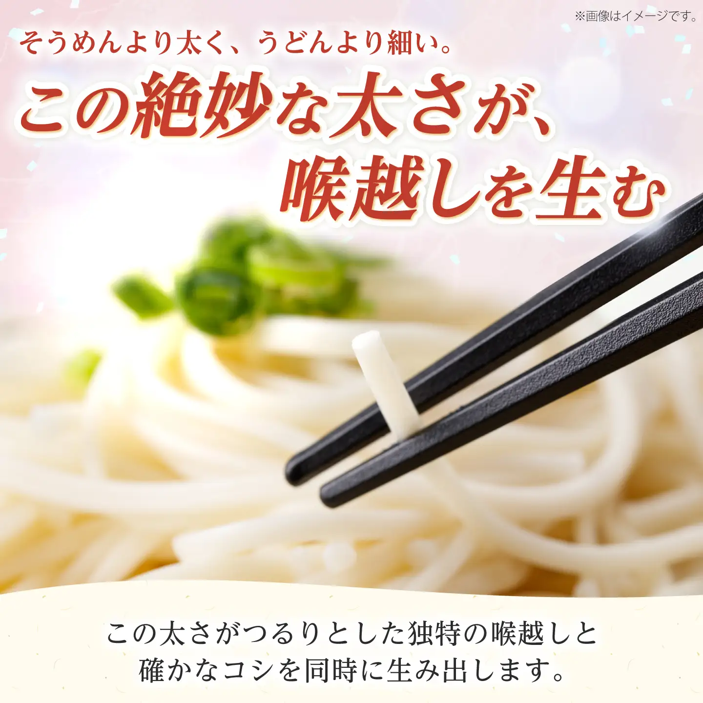 五島うどん 200g×8袋 スープ付 うどん 乾麺 麺 五島うどん あご あごだし だし スープ[RAN001] うどん 五島うどん 麺 うどん 五島うどん 麺九州 長崎 