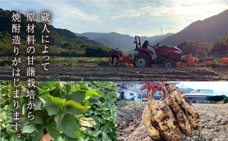 【全6回定期便】五島灘 黒麹 1800ml×1本[RAW034] 焼酎 芋焼酎 定期便 焼酎 芋焼酎 定期便 焼酎 芋焼酎 定期便 焼酎 芋焼酎 定期便 焼酎 芋焼酎 定期便九州 長崎