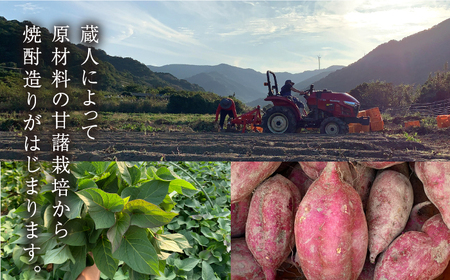 【全6回定期便】五島灘 紅芋 1800ml×1本[RAW040] 焼酎 芋焼酎 定期便 焼酎 芋焼酎 定期便 焼酎 芋焼酎 定期便 焼酎 芋焼酎 定期便 焼酎 芋焼酎 定期便九州 長崎