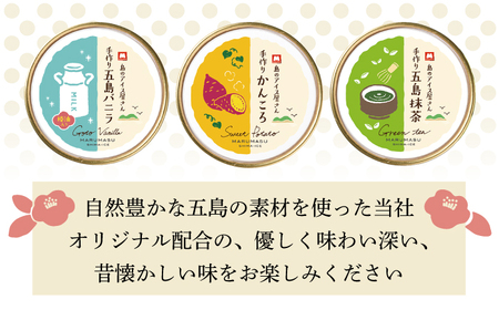 【全3回定期便】アイス3種 計12個[RAX017] アイス スイーツ お菓子 定期便 アイス スイーツ お菓子 定期便 アイス スイーツ お菓子 定期便九州 長崎
