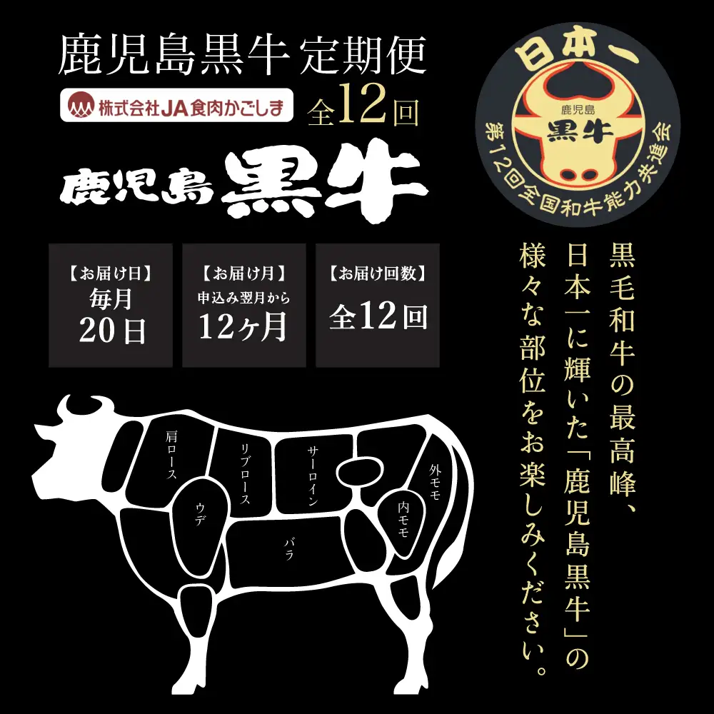 【JA食肉かごしま】鹿児島黒牛 定期便（全12回） かごしまブランド 黒毛和牛 和牛 牛肉 お肉 霜降り 赤身 ステーキ 焼肉 焼き肉 バーベキュー BBQ すき焼き しゃぶしゃぶ 食べ比べ 定期便 JA食肉かごしま 南さつま市