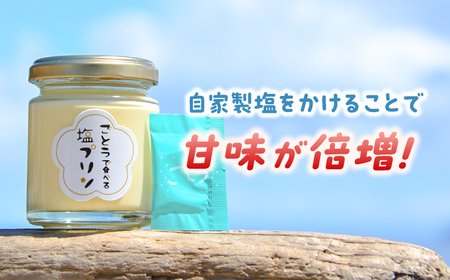ごとうで食べる塩プリン6個 椿スプーン付き[RBA047] プリン スイーツ 塩 プリン スイーツ 塩 プリン スイーツ 塩 プリン スイーツ 塩 プリン スイーツ 塩九州 長崎