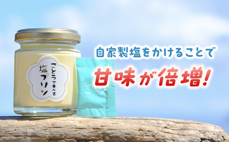 【全6回定期便】ごとうで食べる塩プリン6個 椿スプーン付き[RBA049] プリン スイーツ 塩 定期便 プリン スイーツ 塩 定期便 プリン スイーツ 塩 定期便 プリン スイーツ 塩 定期便九州 長崎