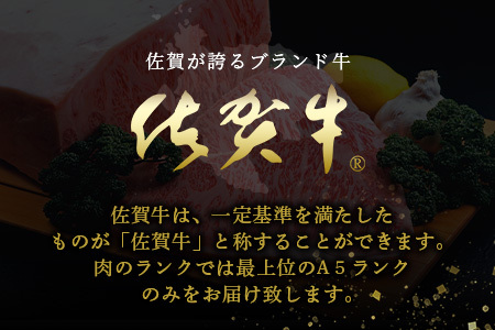 【リピートコース】 佐賀牛最上級A5ランク 肉の女王ヒレ肉ステーキ用（200ｇ×4枚）サーロインステーキ（300ｇ×4個）+ 今だけ！【訳アリ】佐賀牛 もも肉切り落とし400ｇ付き R-10